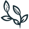Leaf icon